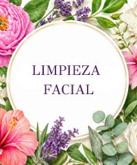 Limpieza facial